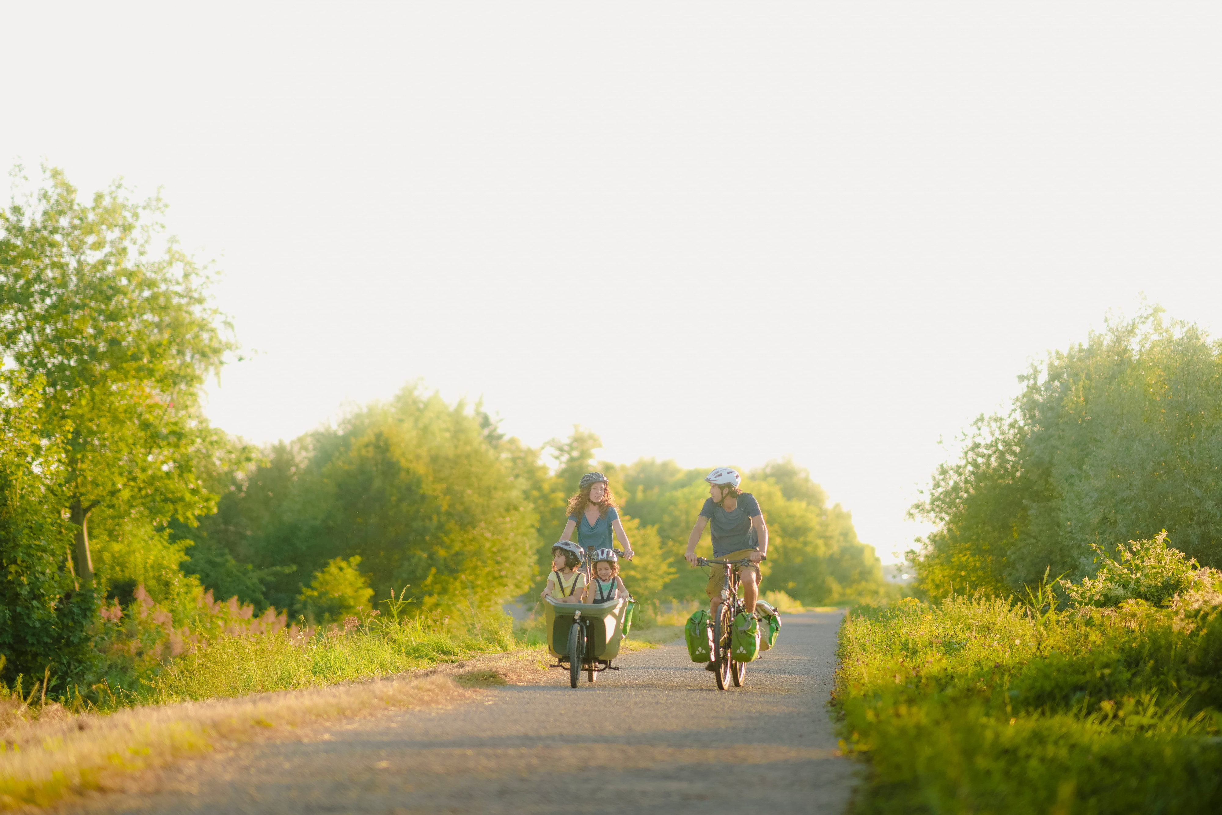 Fietsen langs de Schelde